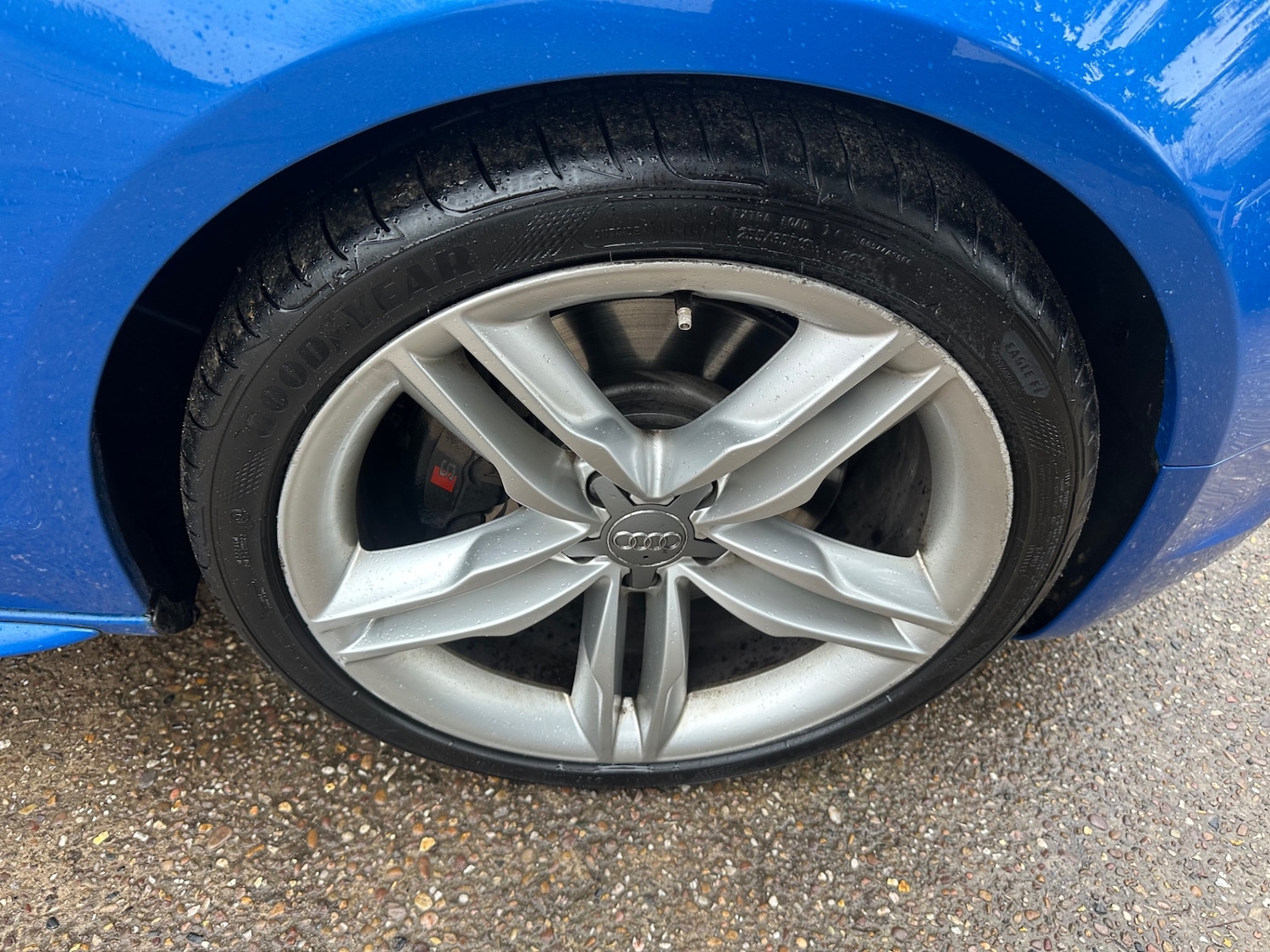 Used Audi S5 2009 for sale - 77085111: Photo 12