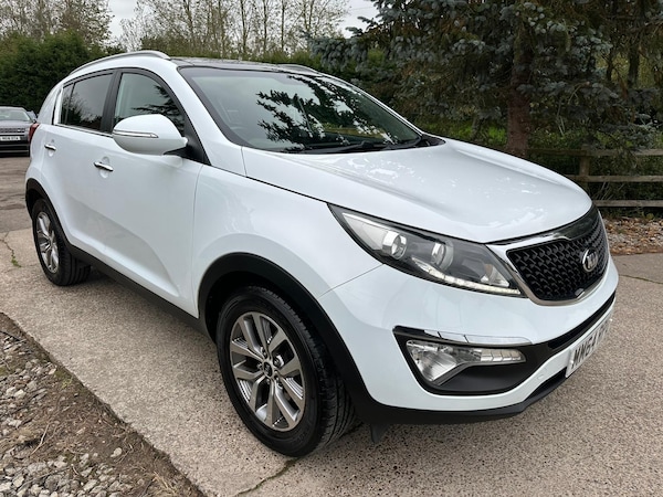 Used Kia Sportage 2015 for sale - 76281466: Photo 3