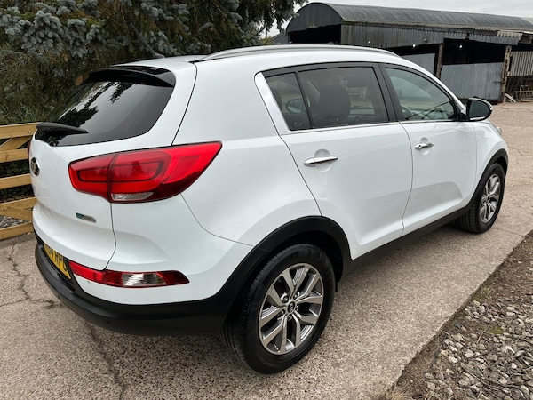 Used Kia Sportage 2015 for sale - 76281466: Photo 4
