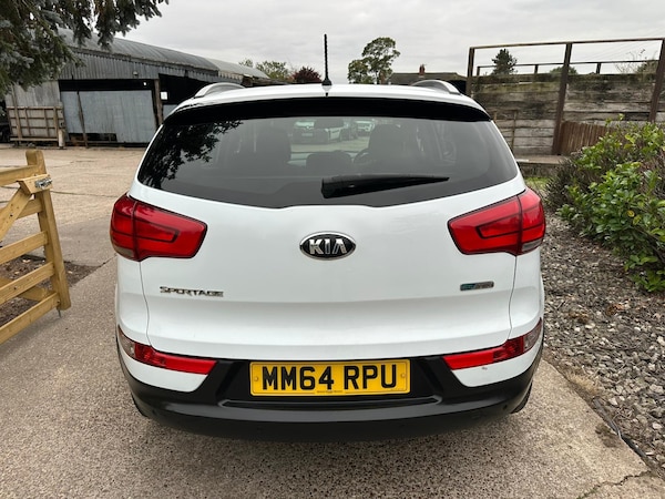 Used Kia Sportage 2015 for sale - 76281466: Photo 5
