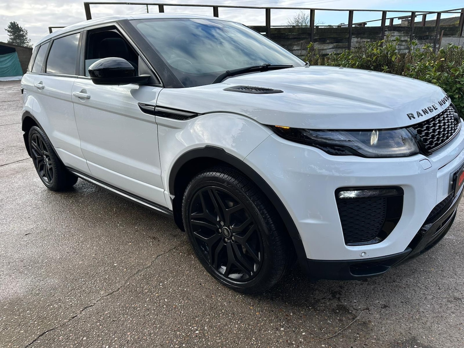 Used Land Rover Range Rover Evoque 2017 for sale - 77220569: Photo 25