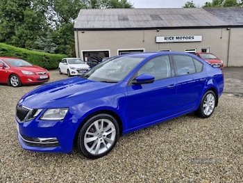 Used Skoda Octavia 2019 for sale - 79485319: Photo