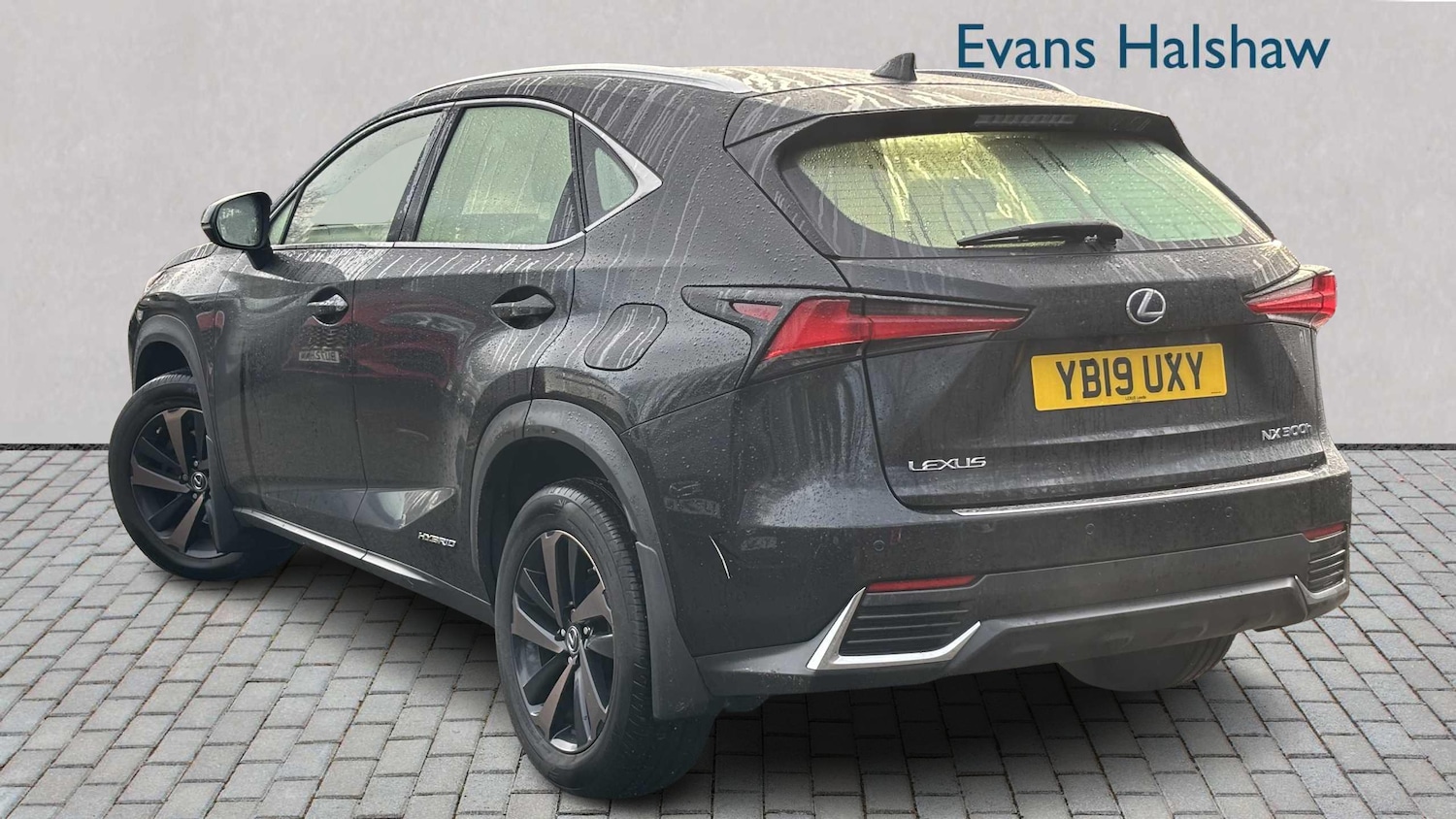 Used Lexus NX 2019 for sale - 76967953: Photo 5