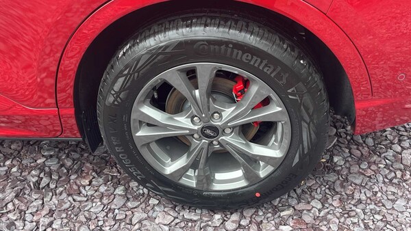 Used Ford Kuga 2024 for sale - 75785024: Photo 9