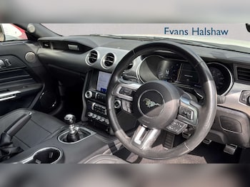 Used Ford Mustang 2019 for sale - 79466809: Photo
