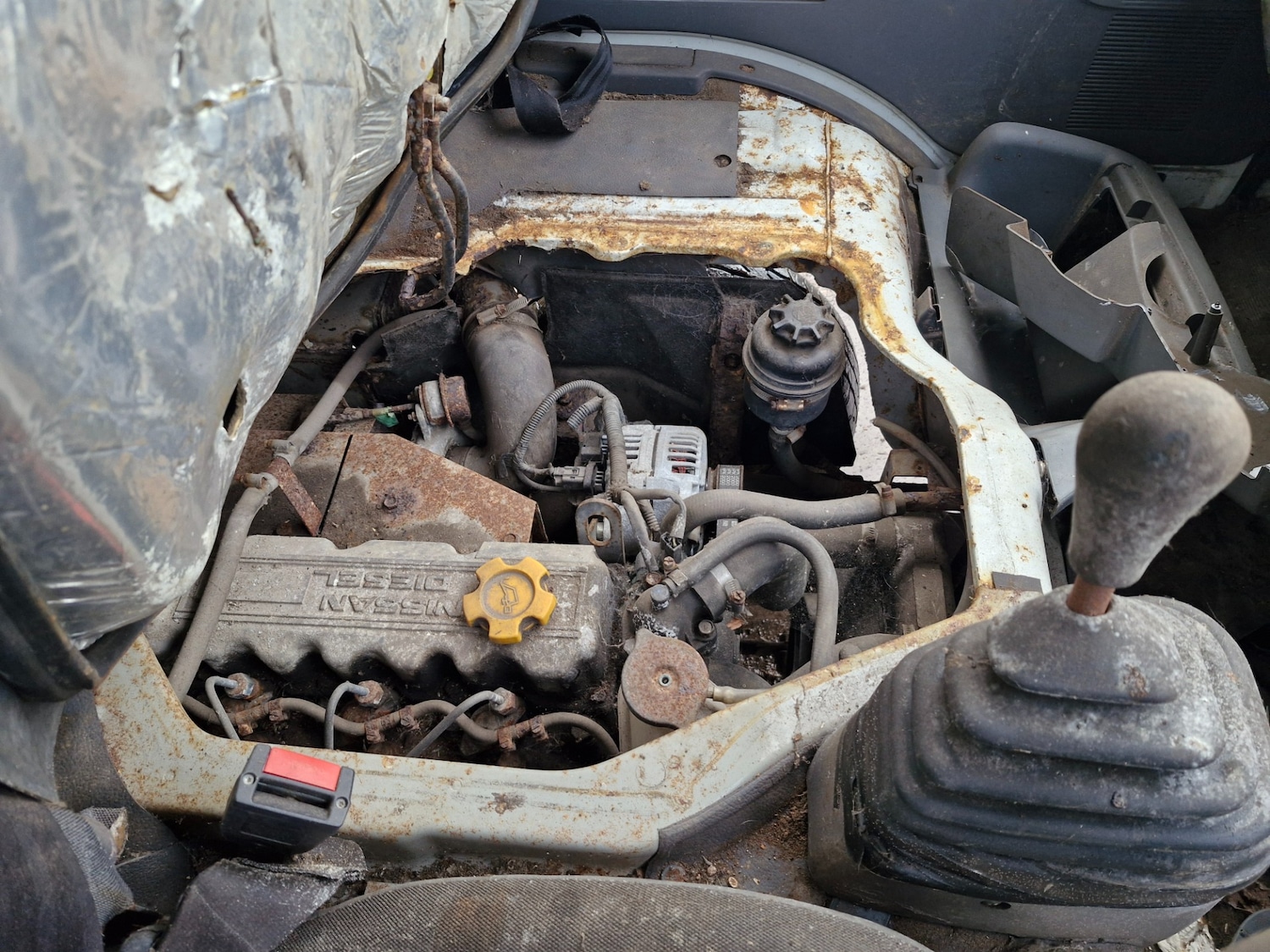 Used Nissan Cabstar 2003 for sale - 77129789: Photo 4