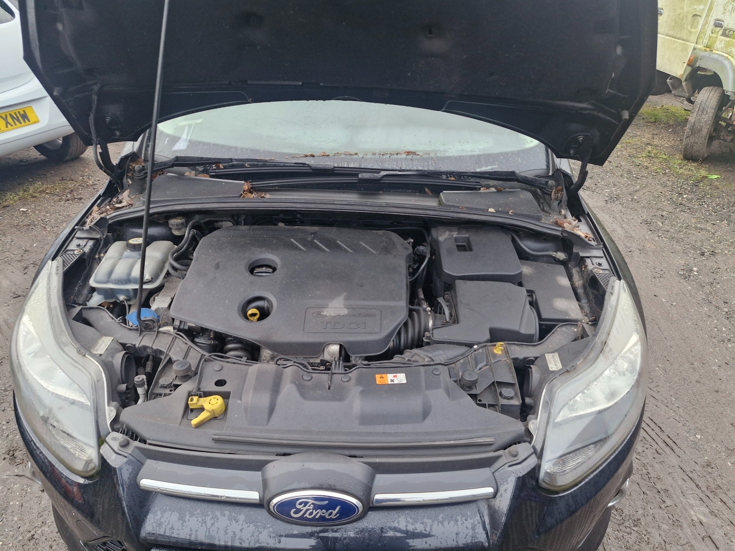 Used Ford Focus 2013 for sale - 77186157: Photo 8