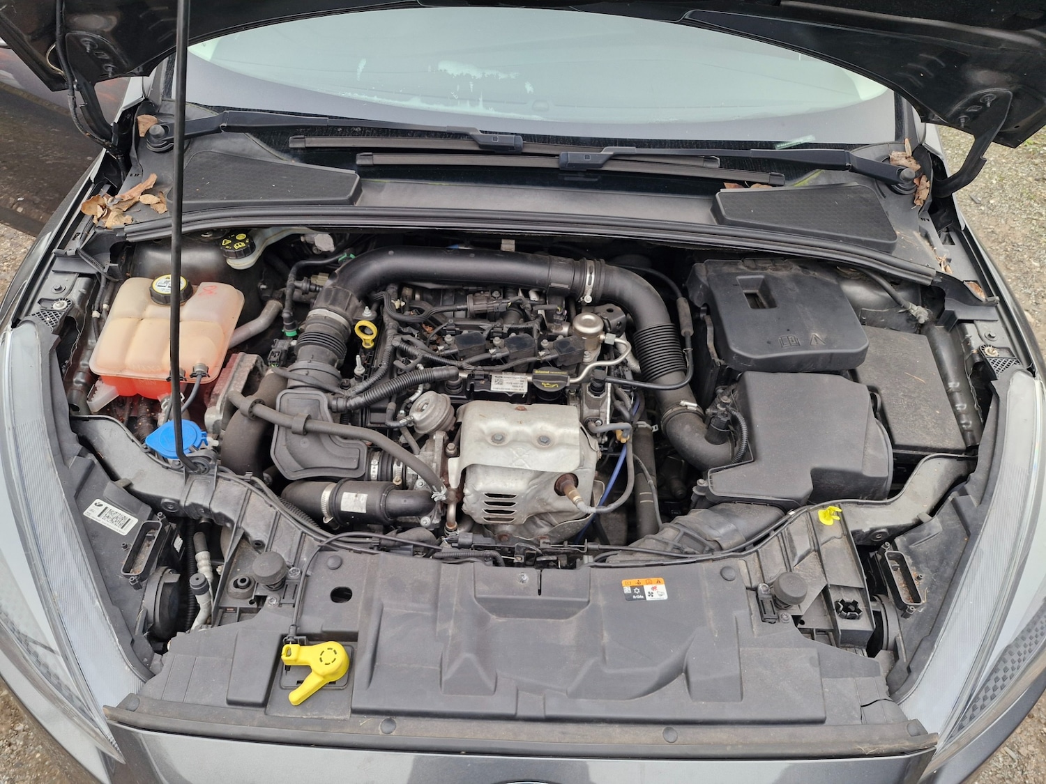 Used Ford Focus 2016 for sale - 77061780: Photo 6