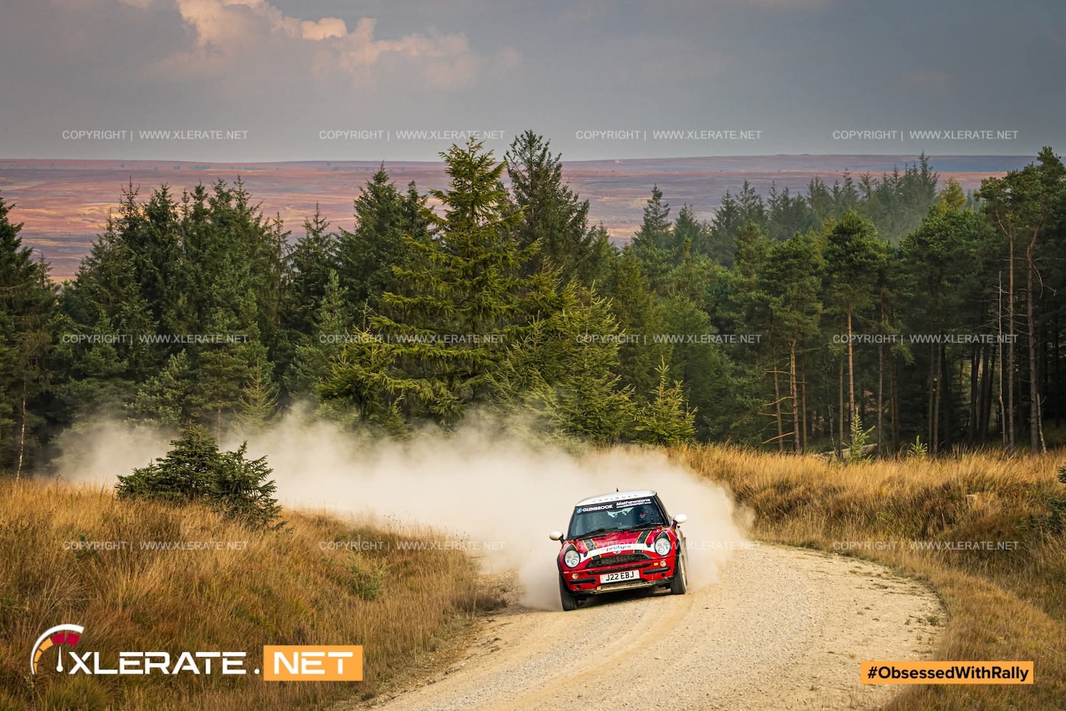 Used MINI Hatch 2002 for sale - 77564242: Photo 35