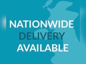 Used Kia Picanto 2009 for sale - 77394221: Photo