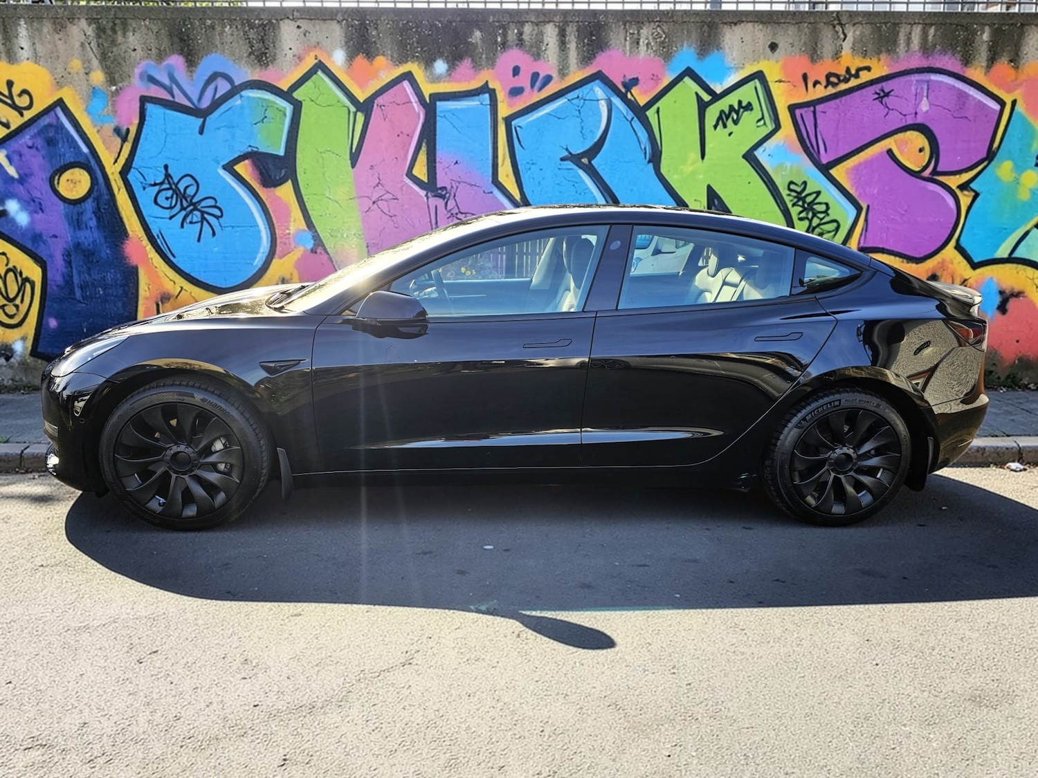 Used Tesla Model 3 2022 for sale - 78027811: Photo 4