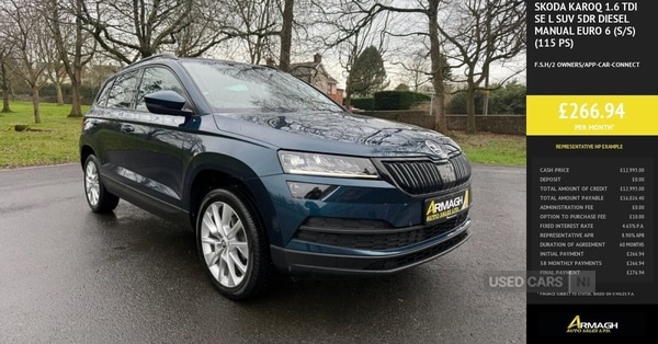 Used Skoda Karoq 2018 for sale - 77825385: Photo 25