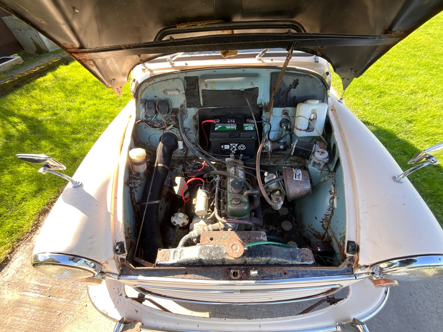 Used Morris Minor 1966 for sale - 77888752: Photo 12