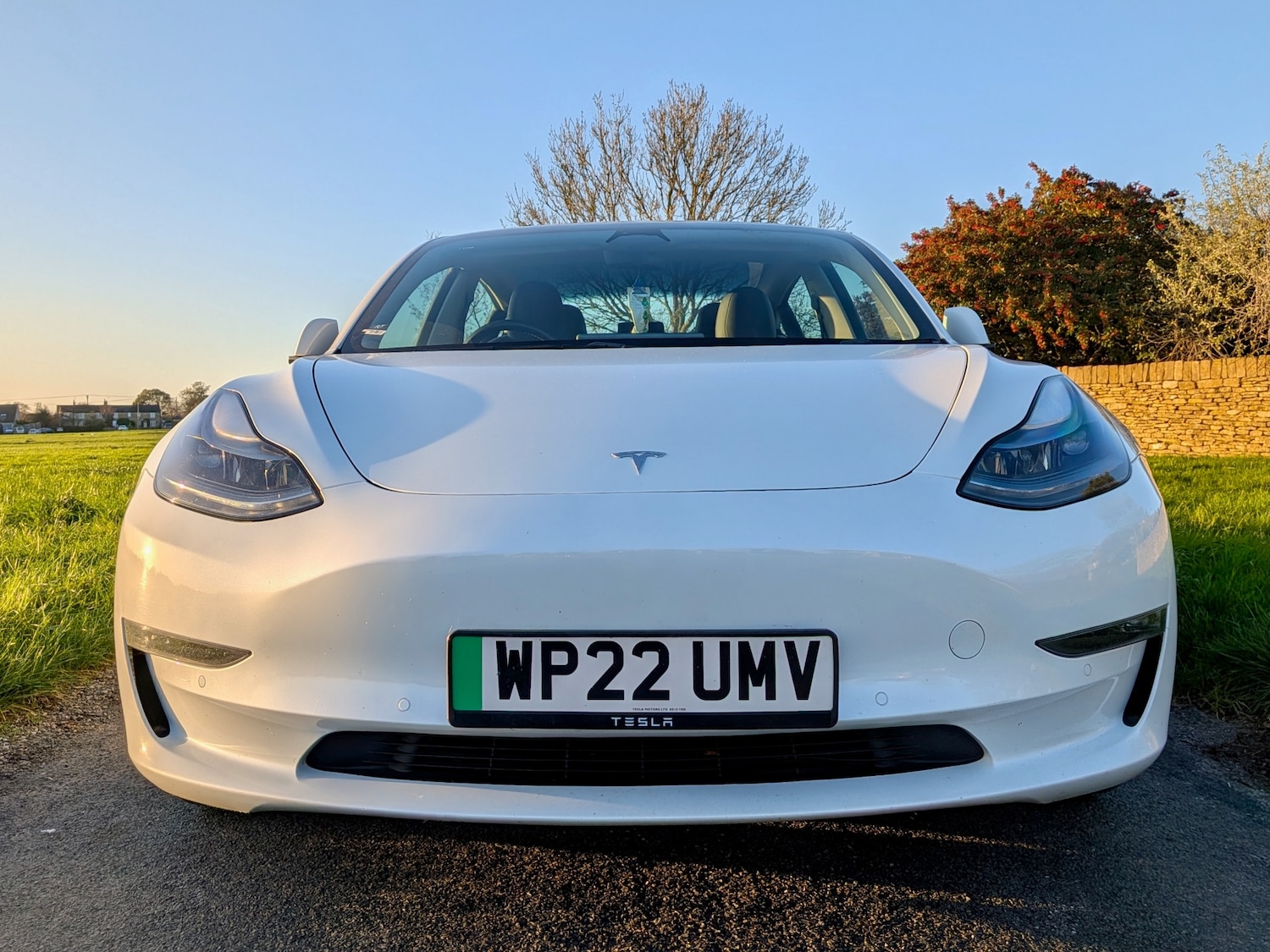 Used Tesla Model 3 2022 for sale - 76627188: Photo 3
