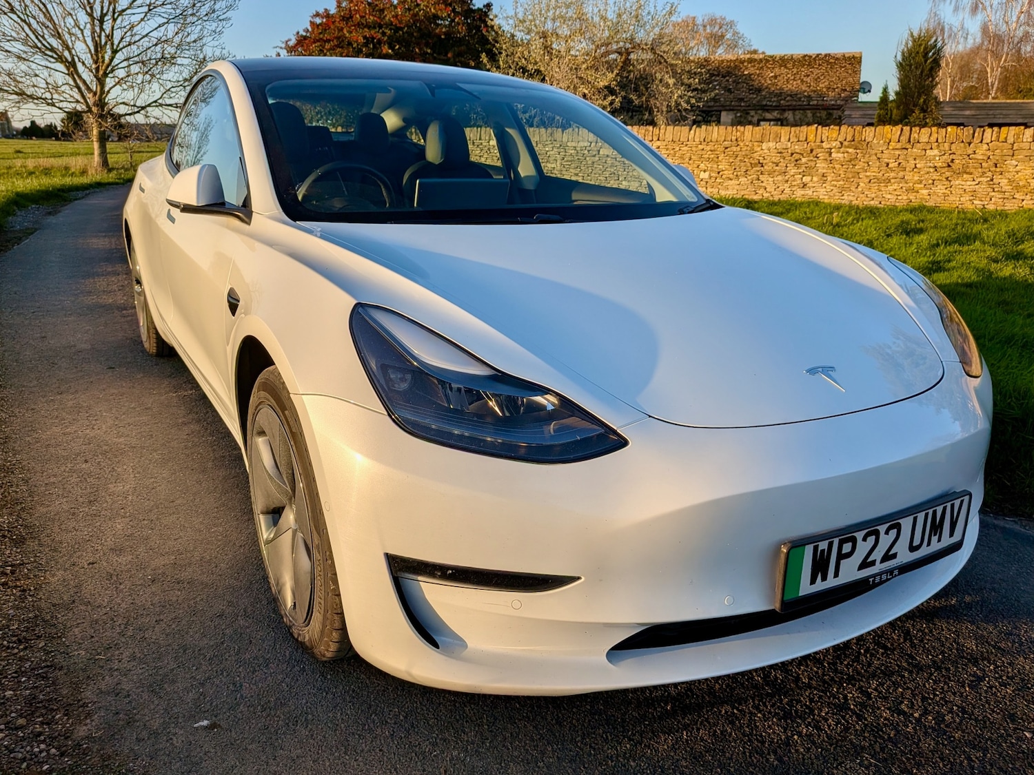 Used Tesla Model 3 2022 for sale - 76627188: Photo 8