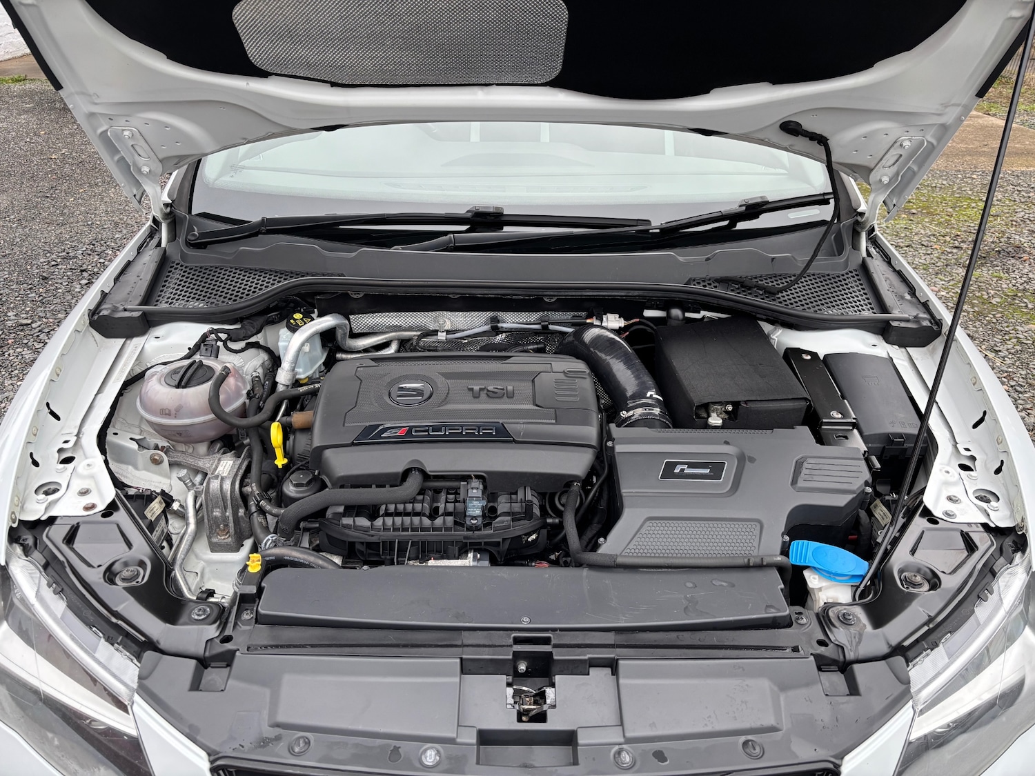 Used SEAT Leon 2016 for sale - 76589986: Photo 14