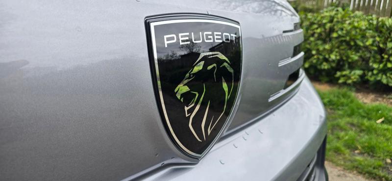 Used Peugeot Expert 2026 for sale - 78095003: Photo 20