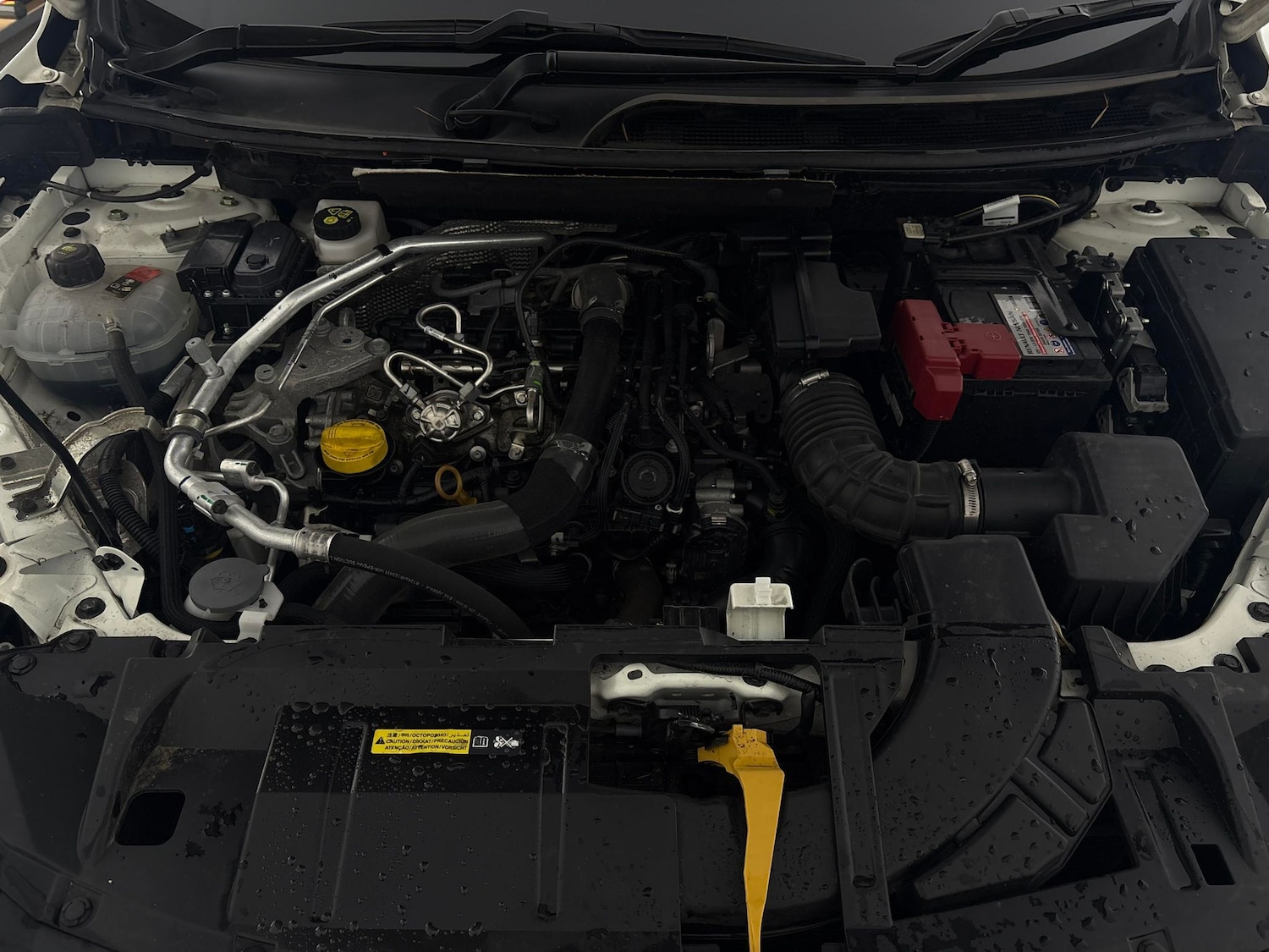 Used Nissan Qashqai for sale - 77194046: Photo 31