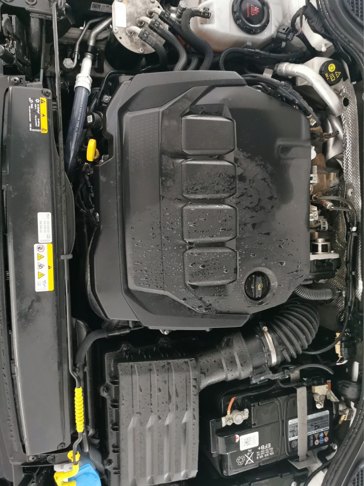 Used Volkswagen Golf 2023 for sale - 77804183: Photo 32