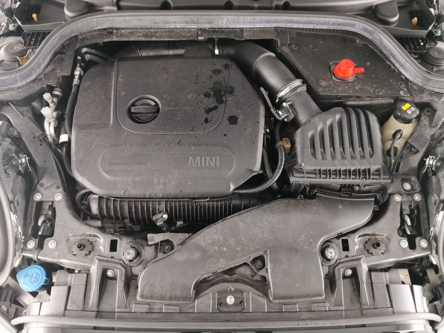 Used MINI Hatch 2019 for sale - 77165001: Photo 29