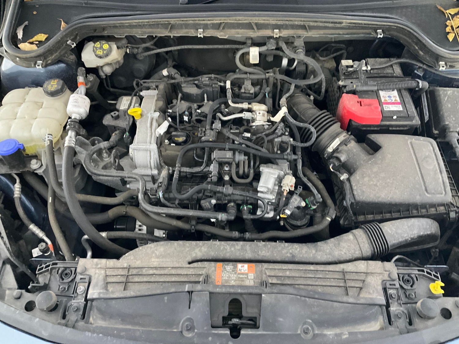 Used Ford Focus 2023 for sale - 76450135: Photo 45