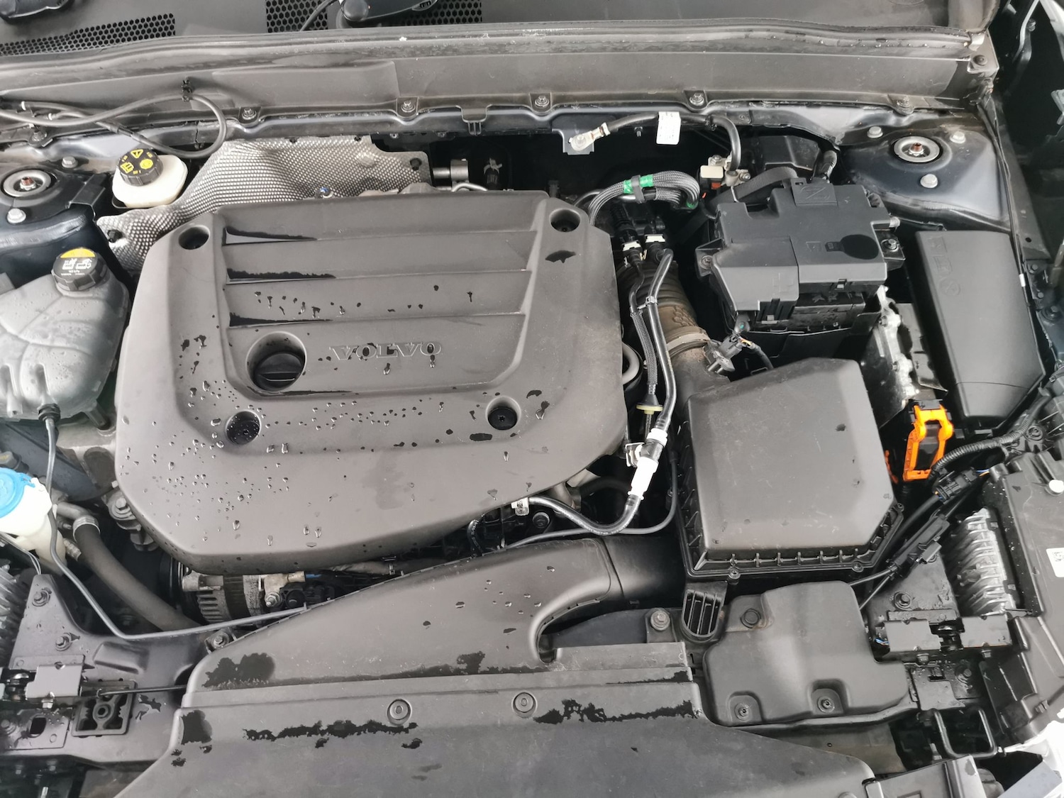 Used Volvo XC40 2022 for sale - 77604971: Photo 30