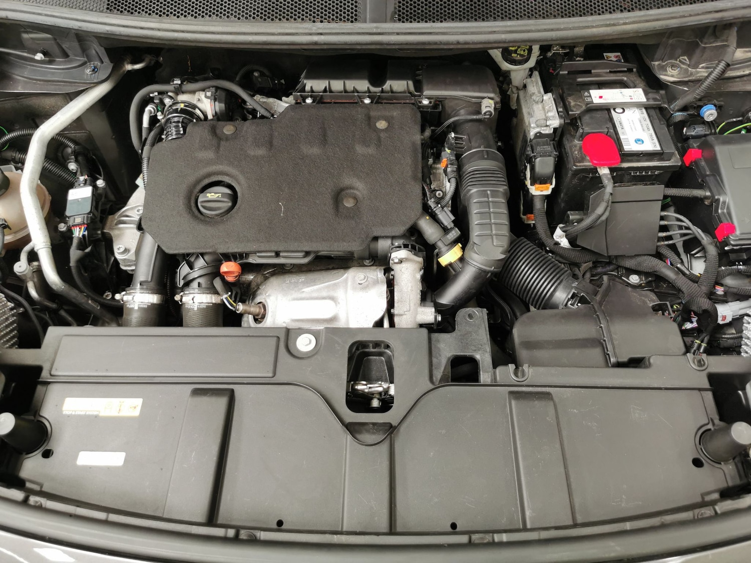 Vehicle 44