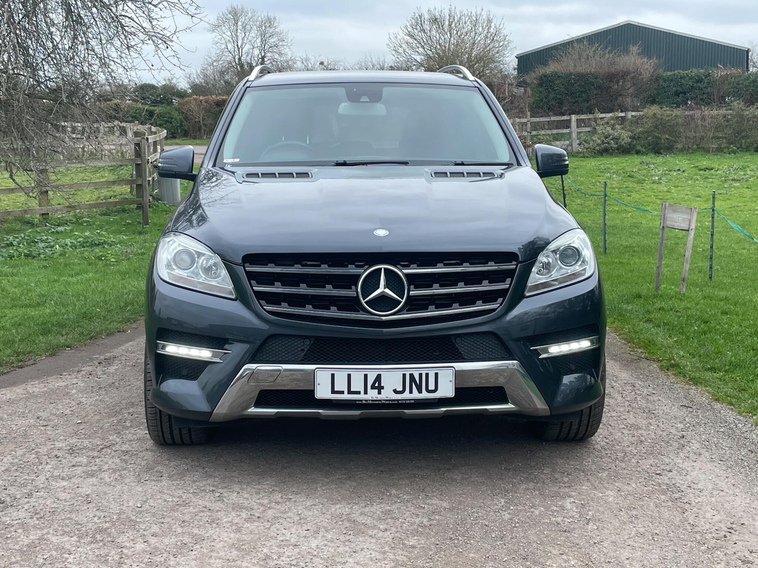 Used Mercedes-Benz M Class for sale - 77738721: Photo 2