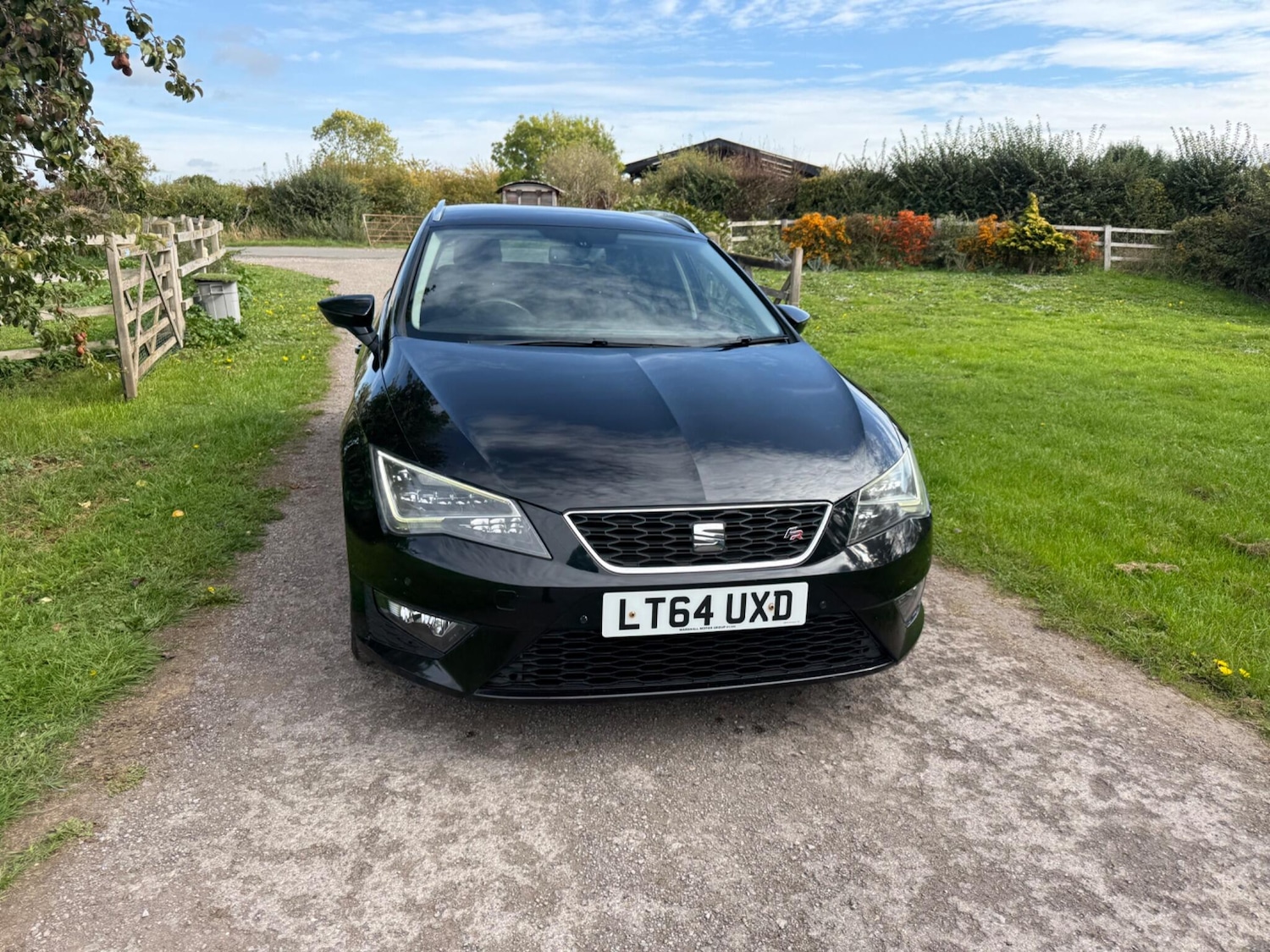 Used SEAT Leon 2014 for sale - 76136741: Photo 3