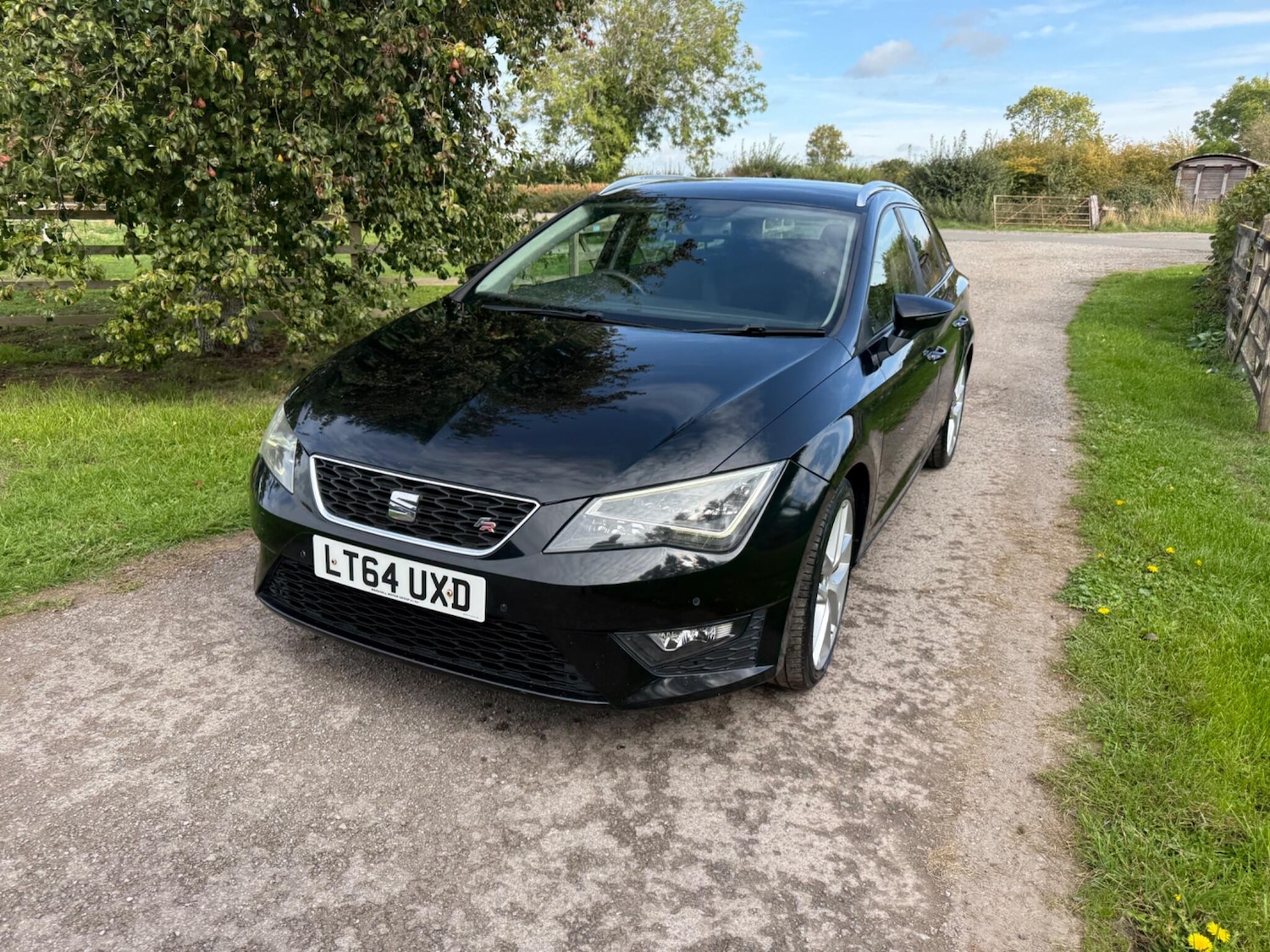 Used SEAT Leon 2014 for sale - 76136741: Photo 5