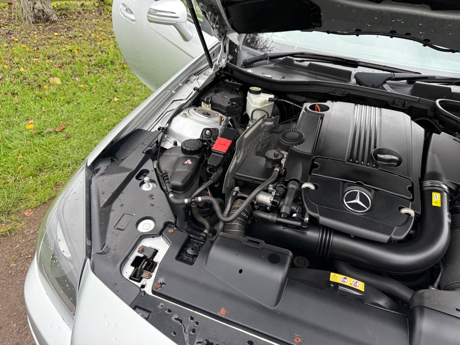 Used Mercedes-Benz SLK for sale - 77279832: Photo 20