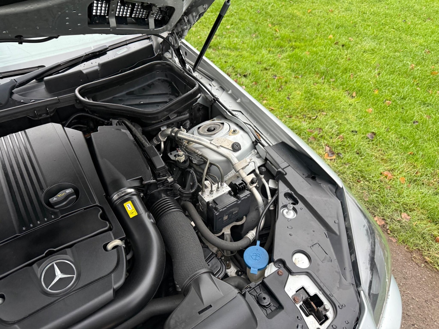 Used Mercedes-Benz SLK for sale - 77279832: Photo 22