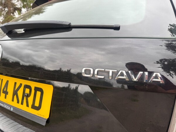 Used Skoda Octavia 2014 for sale - 75635113: Photo 15