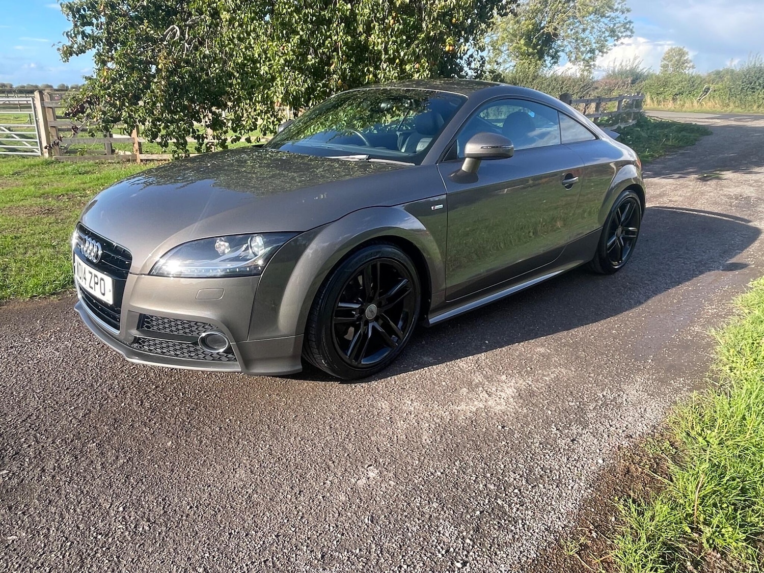 Used Audi TT 2014 for sale - 75781006: Photo 18
