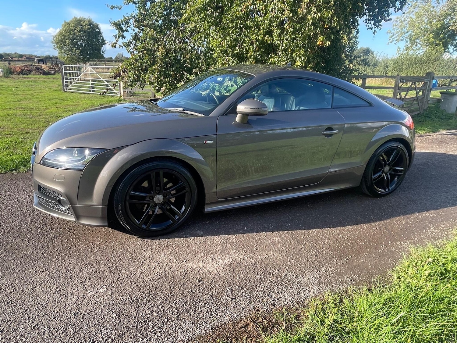 Used Audi TT 2014 for sale - 75781006: Photo 19