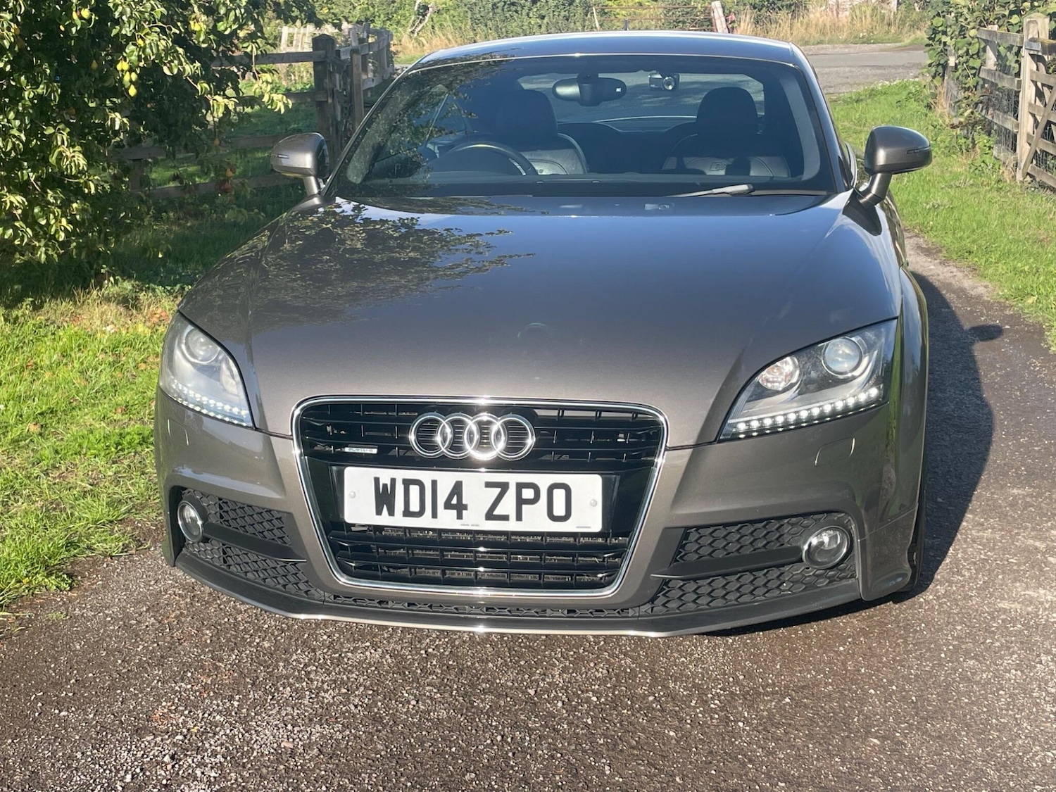 Used Audi TT 2014 for sale - 75781006: Photo 20