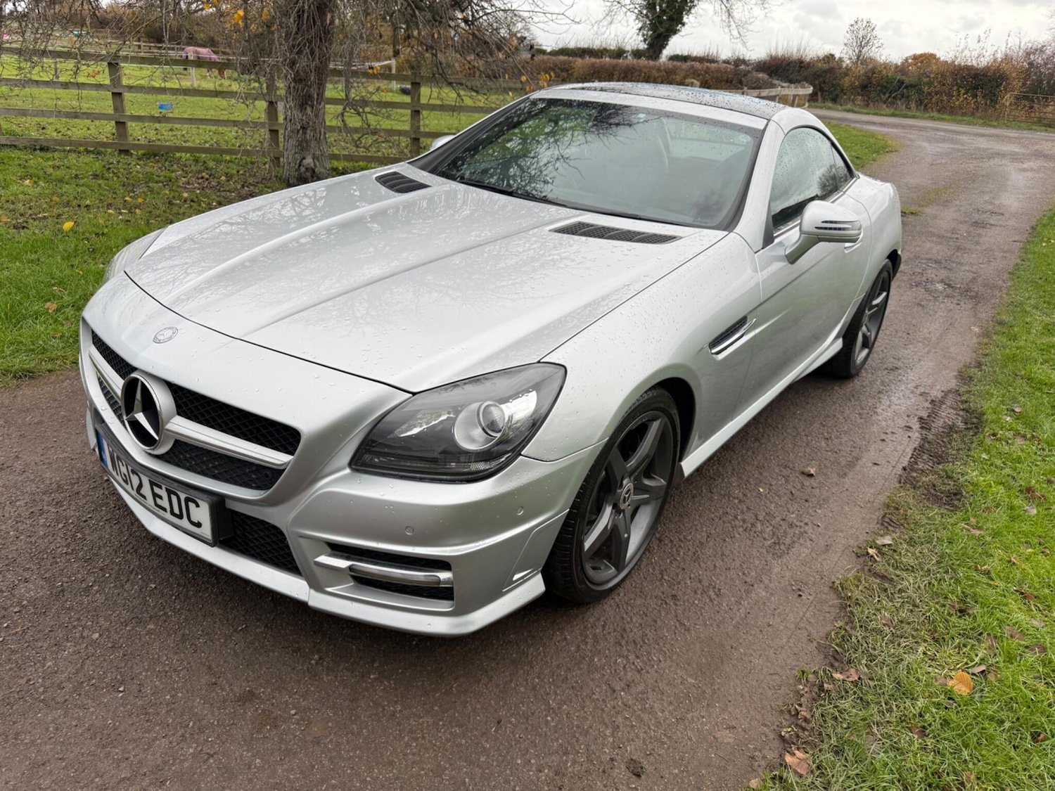 Used Mercedes-Benz SLK 2012 for sale - 76839941: Photo 1