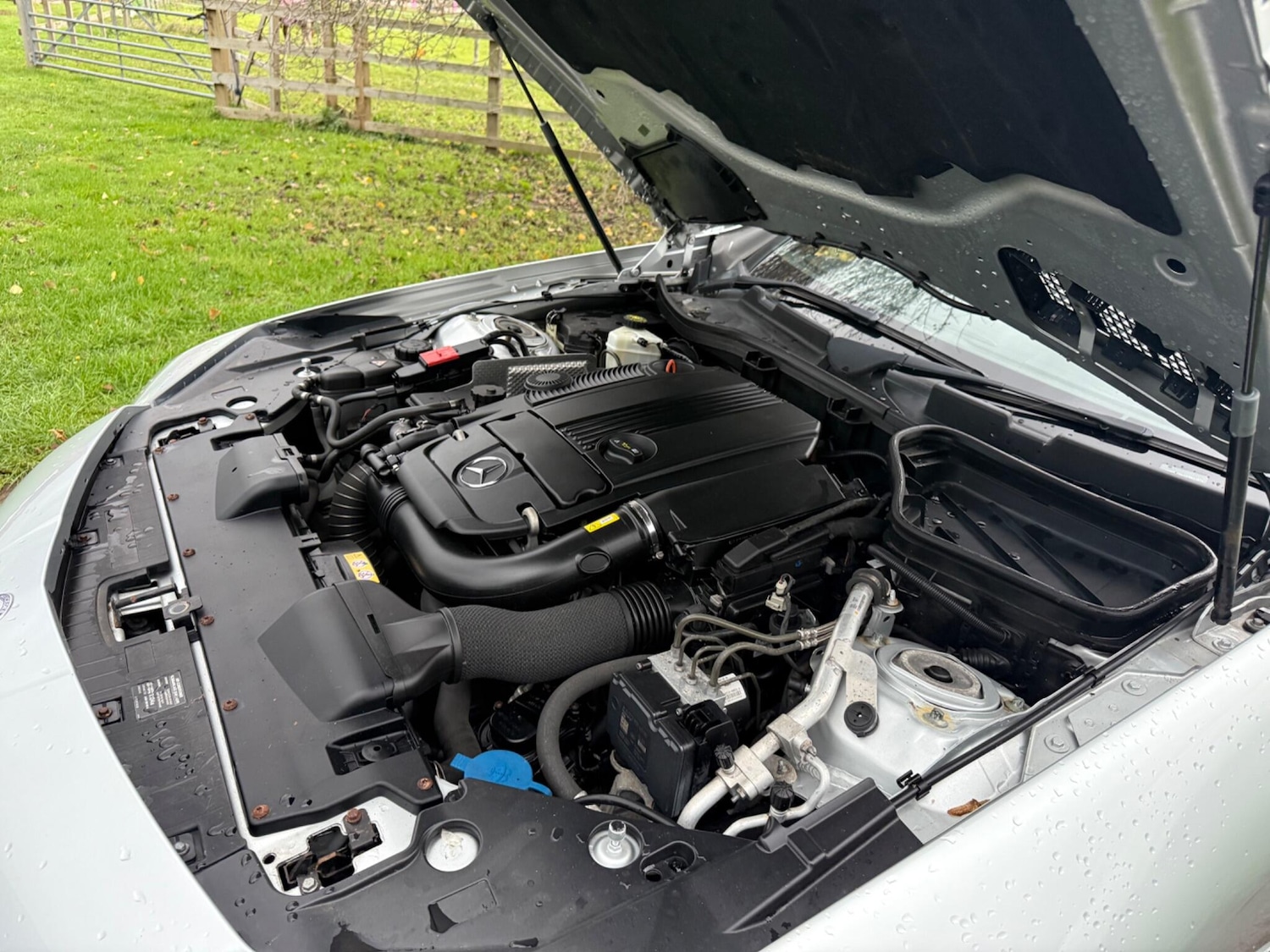 Used Mercedes-Benz SLK 2012 for sale - 76839941: Photo 21