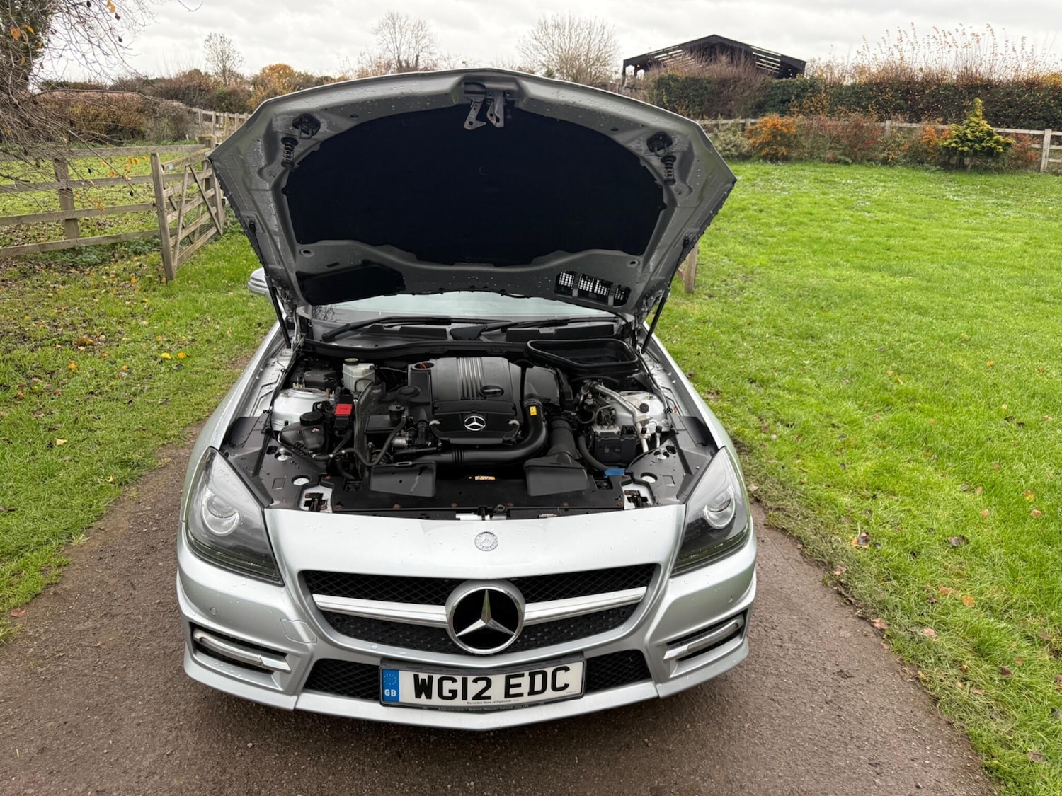 Used Mercedes-Benz SLK 2012 for sale - 76839941: Photo 24