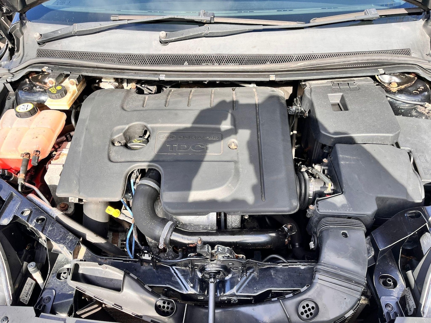 Used Ford Focus 2011 for sale - 77882246: Photo 28