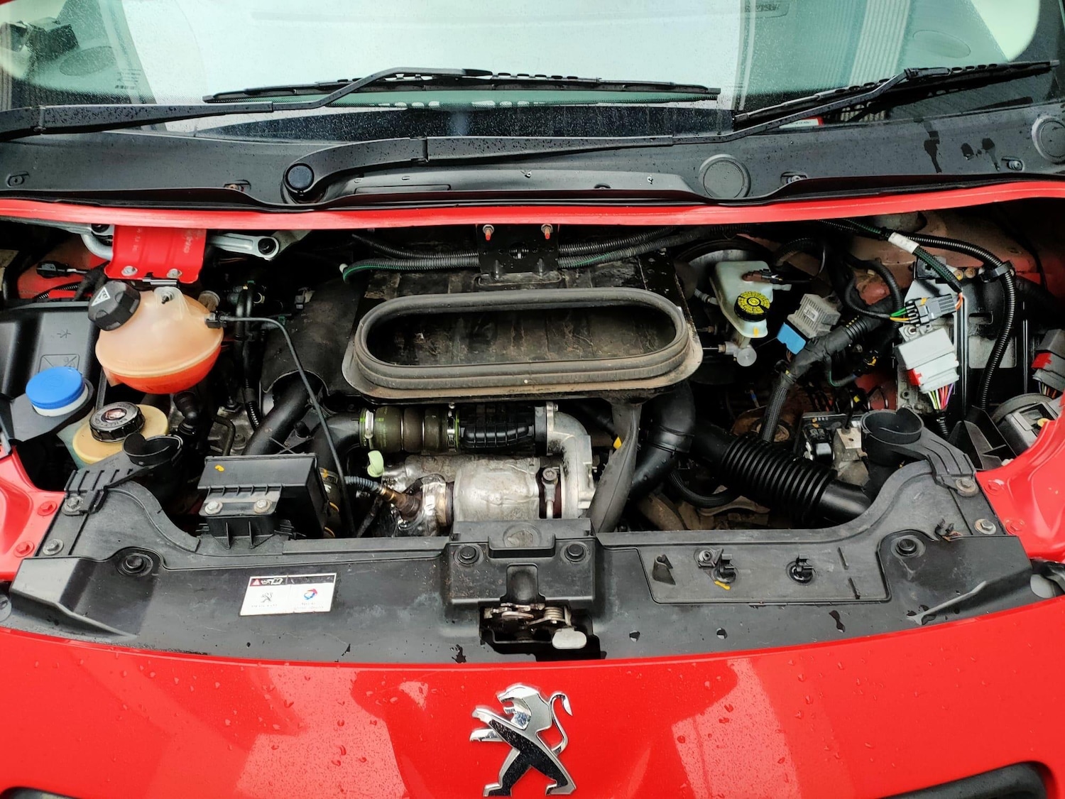 Used Peugeot Expert for sale - 77484506: Photo 26