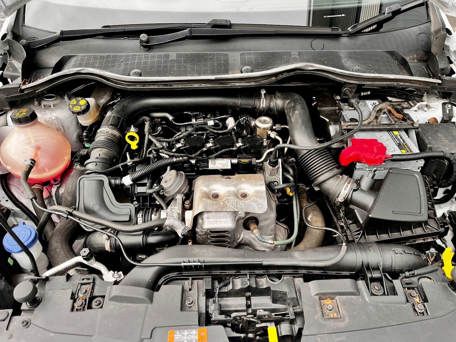 Used Ford Fiesta 2019 for sale - 76619840: Photo 32