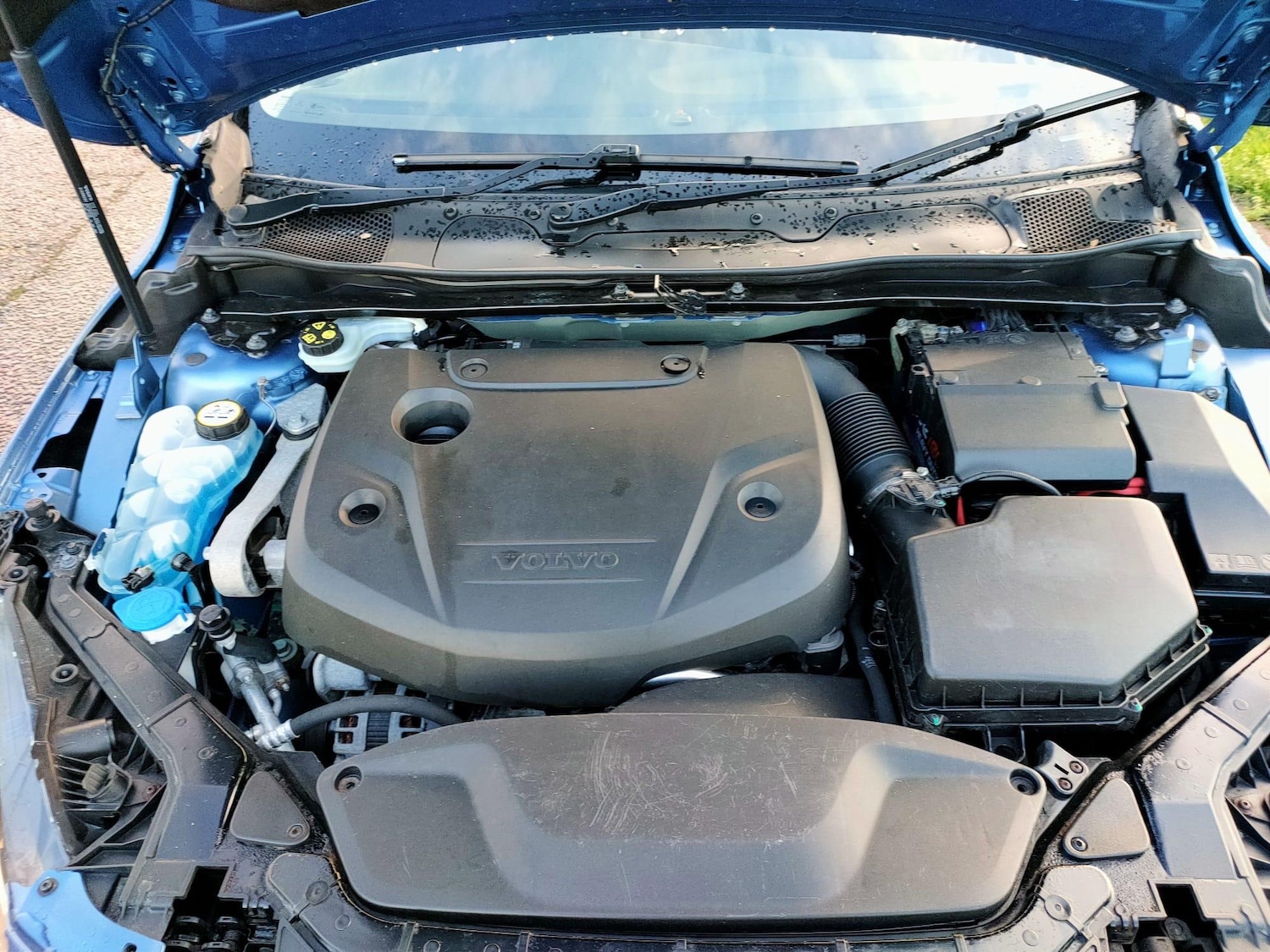 Used Volvo V40 Cross Country for sale - 78115705: Photo 27