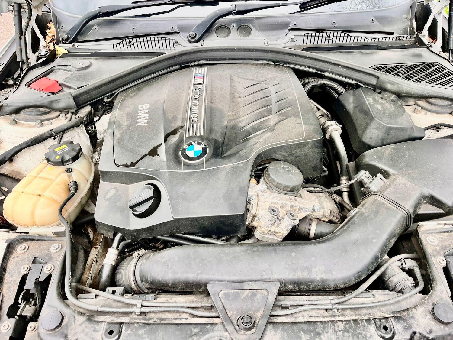 Used BMW 2 Series for sale - 77784713: Photo 26