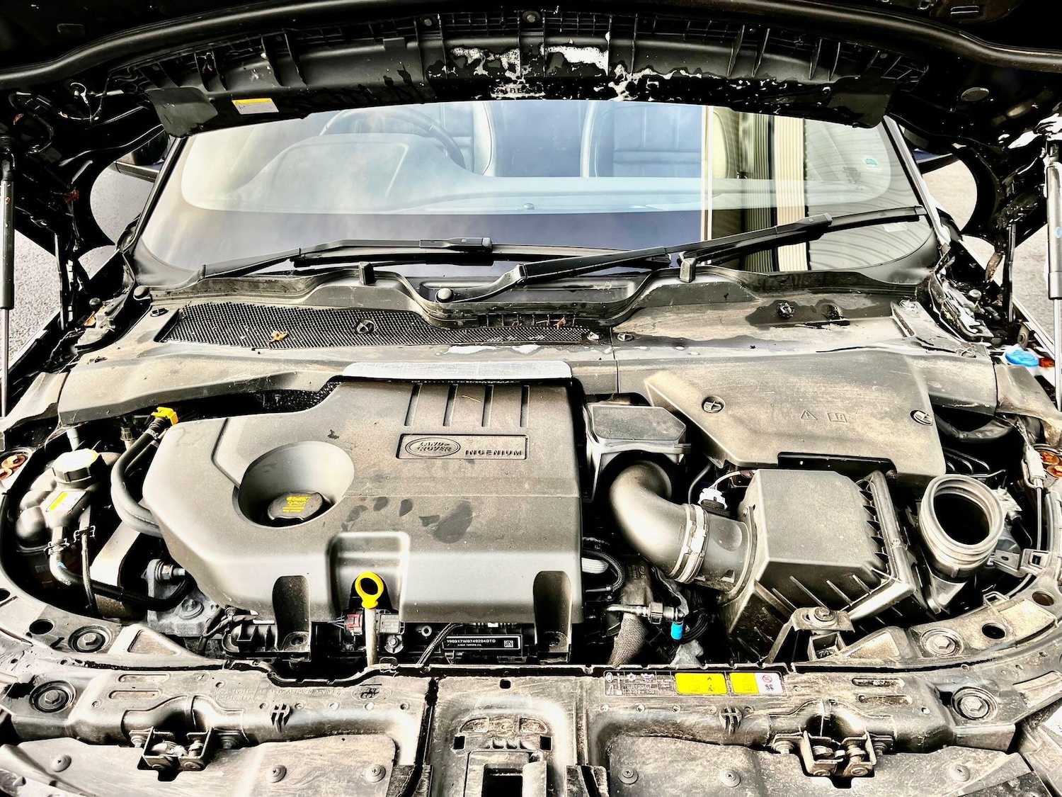 Used Land Rover Range Rover Evoque 2020 for sale - 76976205: Photo 34