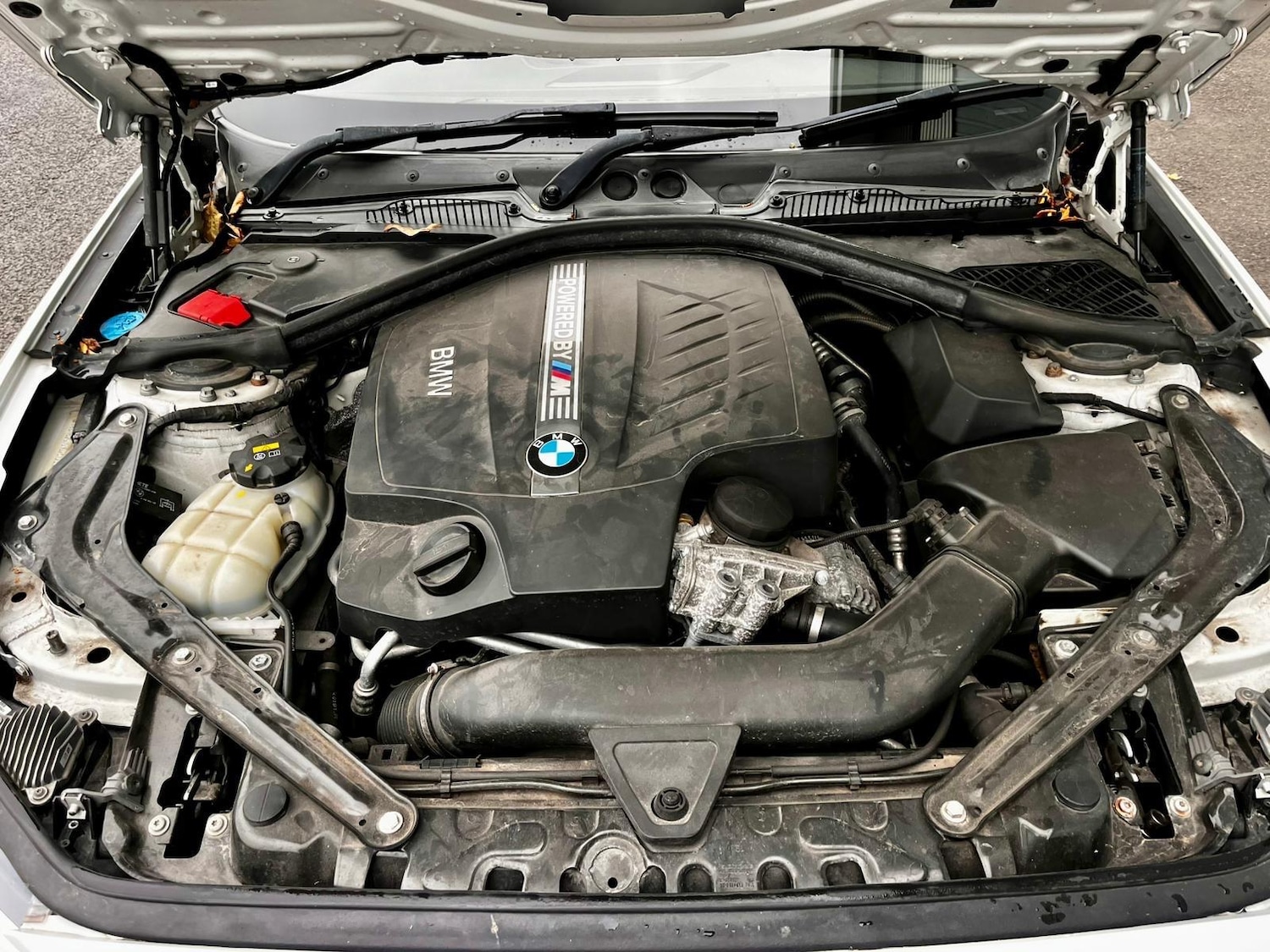 Used BMW M2 2017 for sale - 76283201: Photo 36