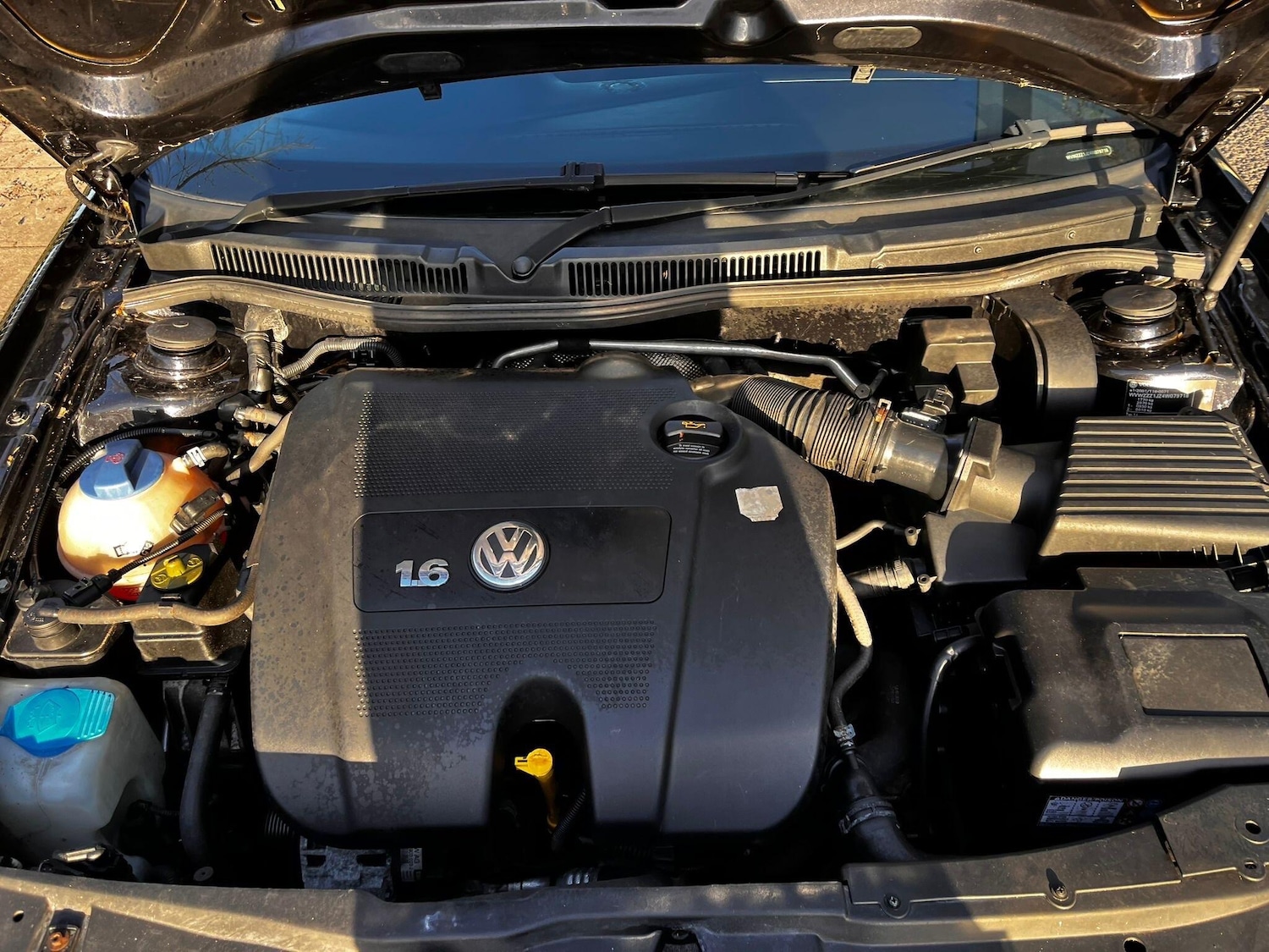 Used Volkswagen Golf for sale - 77670817: Photo 23