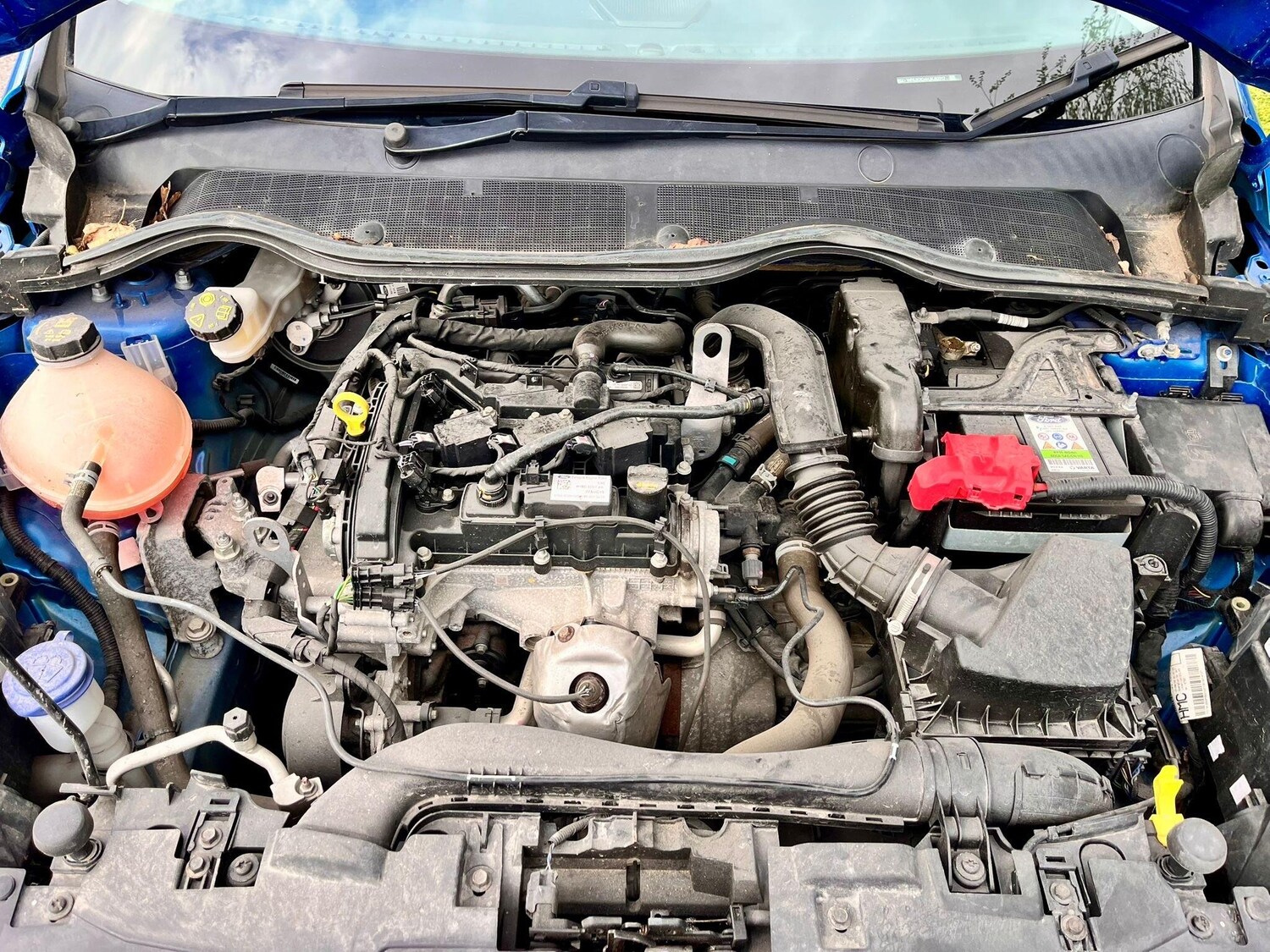 Used Ford Fiesta for sale - 78157844: Photo 36