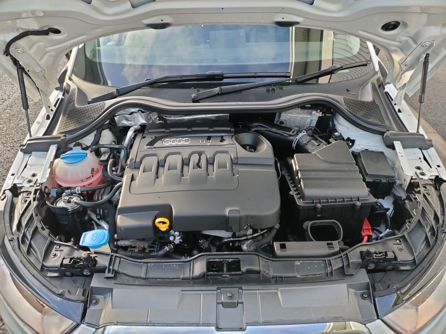 Used Audi A1 for sale - 77484299: Photo 25