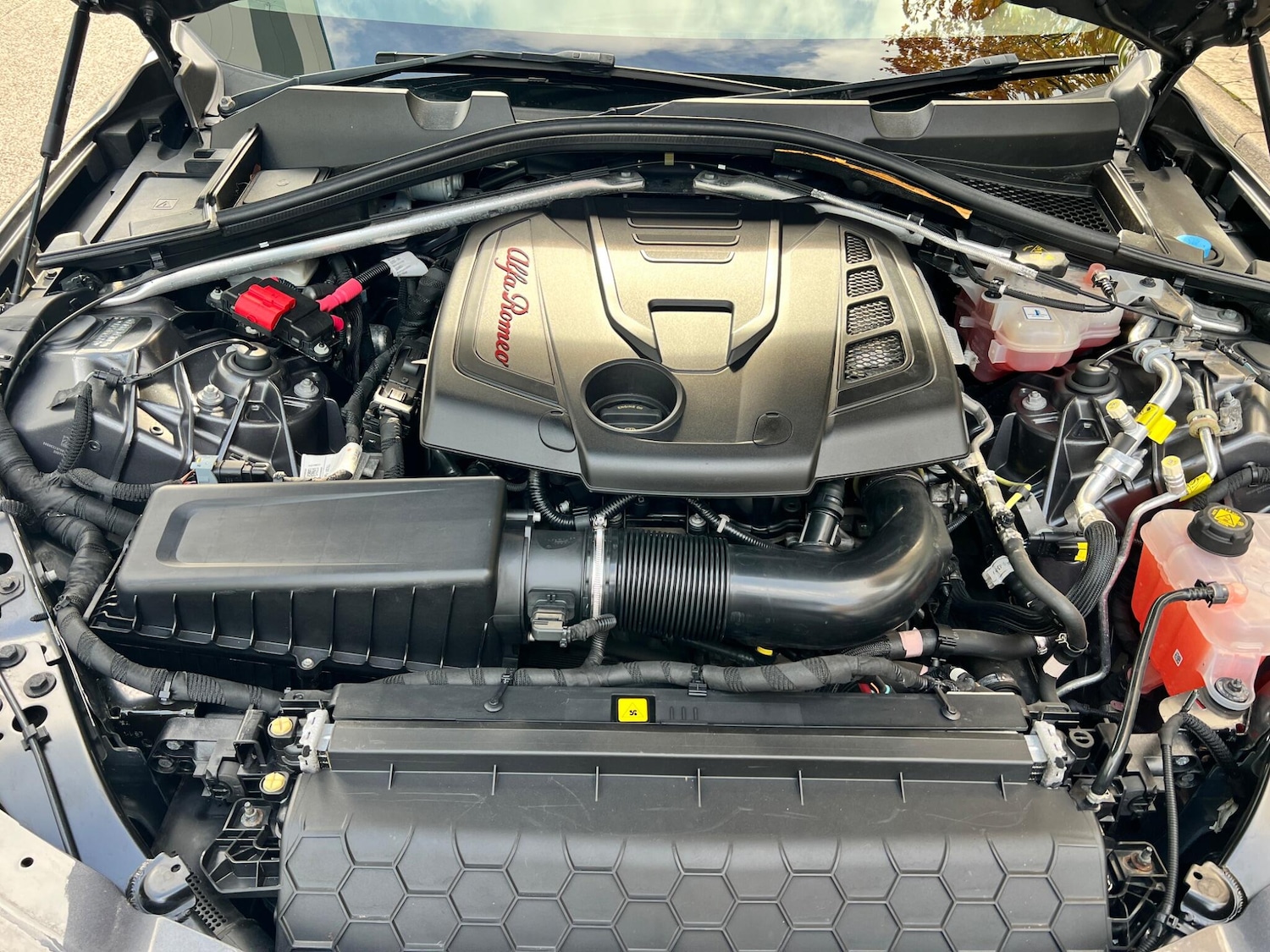 Used Alfa Romeo Giulia 2019 for sale - 76226841: Photo 25